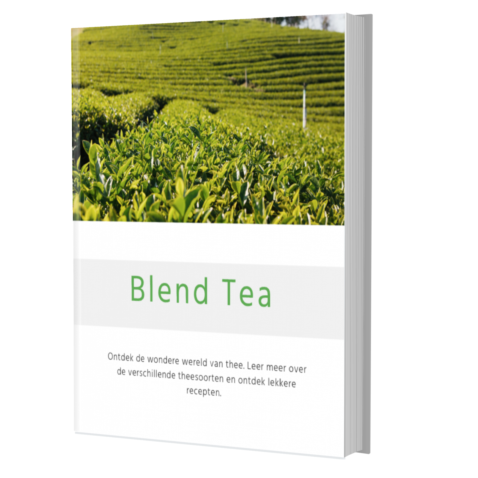 Blend Tea e-book: thee recepten, inspiratie, productieproces